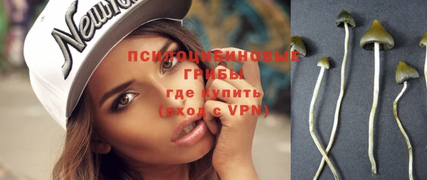 мяу мяу кристалл Богданович