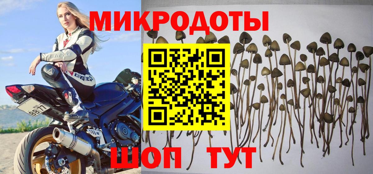 Галлюциногенные грибы прущие грибы Дагестанские Огни